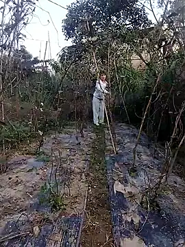 linda bae00 online show from November 2025 12:46:02 AM