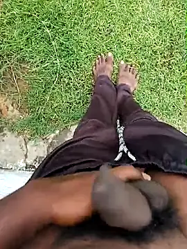 dolphiinn online show from November 2025 02:32:01 AM