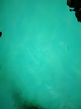 Snapshot of Arti13A chatting on January 2026 03:17:01 PM Arti13A online show from January 2026 03:17:01 PM