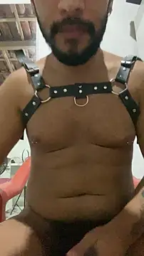 spiderfindom online show from November 2025 05:28:02 AM