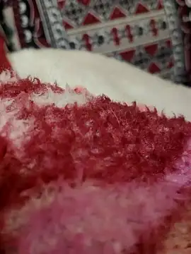 Snapshot of Hot_modal chatting on November 2025 04:53:01 PM Hot modal online show from November 2025 04:53:01 PM