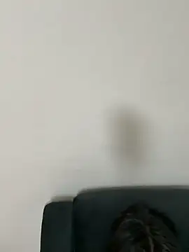 Snapshot of gayfucuxuc chatting on December 2025 01:04:02 PM gayfucuxuc online show from December 2025 01:04:02 PM