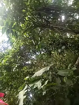 Snapshot of dulcelatin21 chatting on November 2025 07:58:01 PM dulcelatin21 online show from November 2025 07:58:01 PM