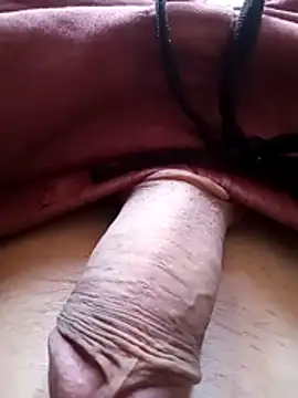 Snapshot of bemmagrinho36 chatting on February 2026 04:21:02 PM bemmagrinho36 online show from February 2026 04:21:02 PM