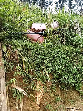 Ngocmi909 online show from March 2026 01:42:01 AM