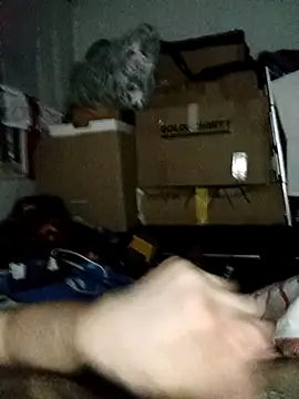 LolGamer54321 online show from February 2026 11:45:02 PM