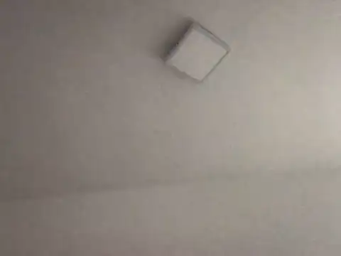 alegriadodia online show from October 2025 07:55:02 PM