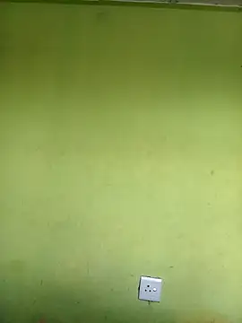 phumlanisanka online show from October 2025 03:54:01 PM