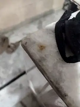 meenu bhabhi547 online show from October 2025 01:58:02 AM