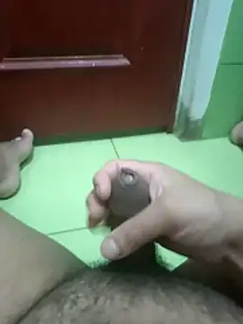 Snapshot of Geminis_95 chatting on February 2026 03:01:02 AM Geminis 95 online show from February 2026 03:01:02 AM