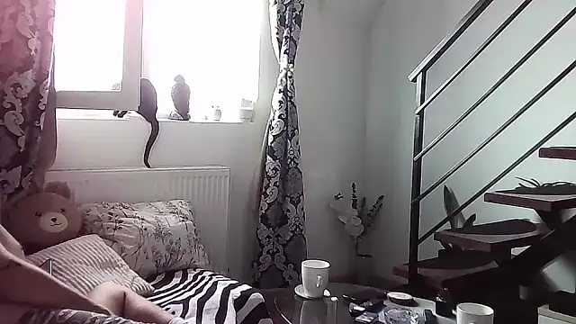 Snapshot of RyanStorm_ chatting on September 2025 09:42:02 AM RyanStorm online show from September 2025 09:42:02 AM