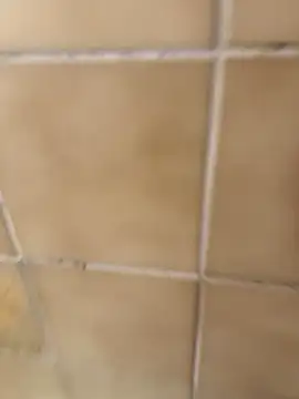 Snapshot of escobryuf chatting on January 2026 12:30:01 PM escobryuf online show from January 2026 12:30:01 PM