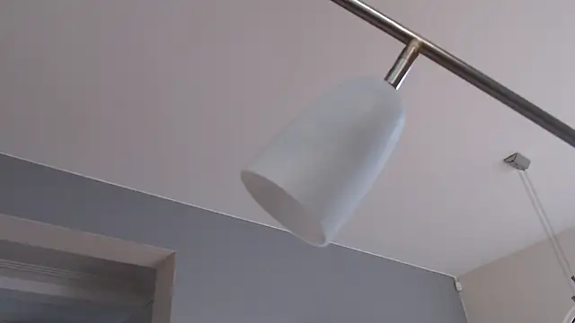 knodli online show from November 2025 07:41:01 AM