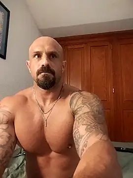 Visto36 online show from June 2026 03:26:01 AM