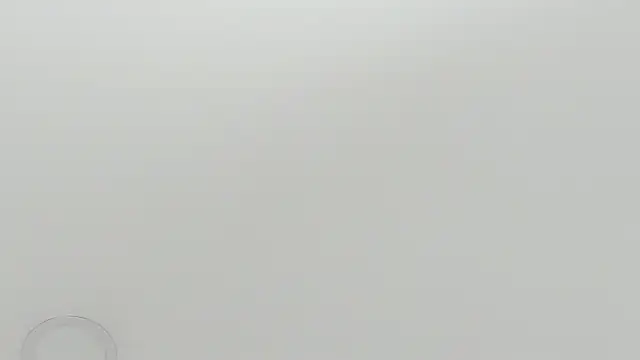 Snapshot of scarletross_ chatting on February 2026 02:38:02 PM scarletross online show from February 2026 02:38:02 PM