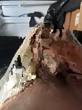 Snapshot of markusnumberone chatting on April 2026 12:17:01 PM markusnumberone online show from April 2026 12:17:01 PM