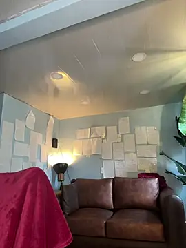 Canneela online show from February 2026 12:46:02 PM