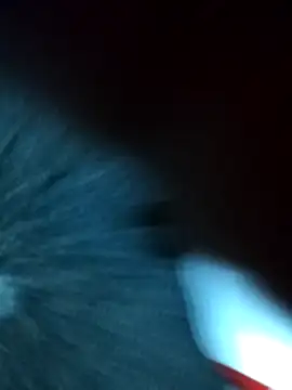 Snapshot of safadomoreno chatting on January 2026 05:44:02 AM safadomoreno online show from January 2026 05:44:02 AM