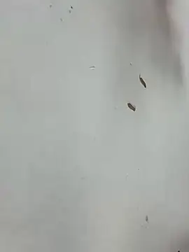 Snapshot of Baby-mmm chatting on January 2026 05:20:01 AM Baby-mmm online show from January 2026 05:20:01 AM