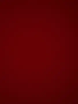 bananasex204 online show from May 2026 02:13:02 PM