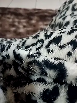 Gauderio40 online show from November 2025 04:11:02 AM