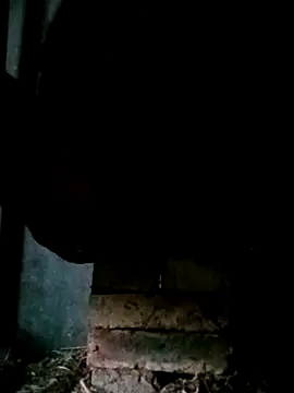 Snapshot of NegroArg_22 chatting on October 2025 09:44:02 PM NegroArg 22 online show from October 2025 09:44:02 PM