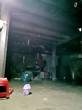 ngan-cute online show from February 2026 11:24:02 PM