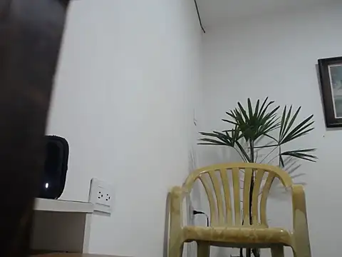 Snapshot of Young_handsome chatting on September 2025 03:56:02 PM Young handsome online show from September 2025 03:56:02 PM