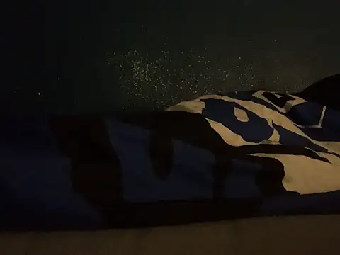 Snapshot of GeilerHSVFAN1989 chatting on September 2025 04:11:02 AM GeilerHSVFAN1989 online show from September 2025 04:11:02 AM