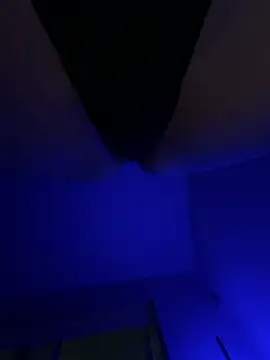 drc0000 online show from March 2026 08:37:01 AM