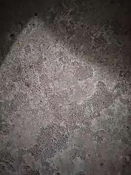 sexy  girls98 online show from February 2026 11:46:02 AM