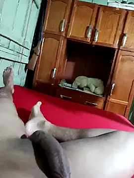 Snapshot of Zedopix123 chatting on October 2025 12:33:02 AM Zedopix123 online show from October 2025 12:33:02 AM