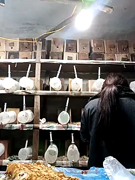 AnHa19 online show from March 2026 09:59:01 AM