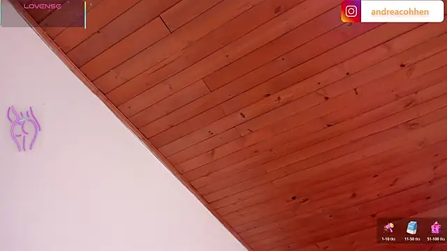 andrea-cohen online show from November 2025 06:01:01 PM