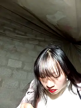 tcm-cute online show from November 2025 12:49:02 PM