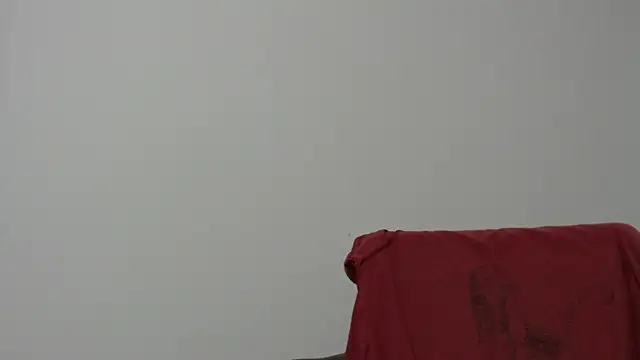 Rocky Muscle online show from February 2026 04:50:02 AM