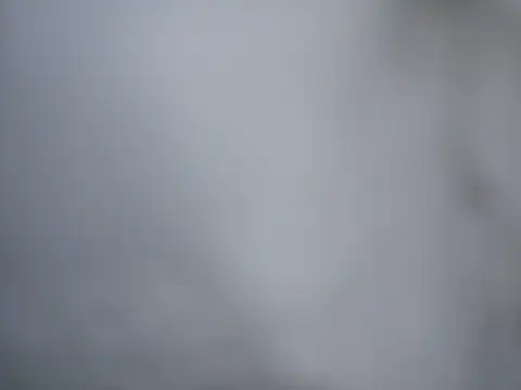 Ricotta1 online show from December 2025 07:49:02 AM