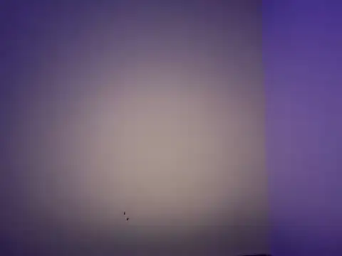 LustyDuoSecrets online show from November 2025 06:19:02 PM