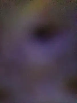 Snapshot of sadhna200 chatting on October 2025 06:39:01 PM sadhna200 online show from October 2025 06:39:01 PM