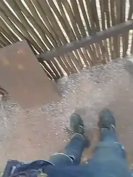 Snapshot of BigboyDick2 chatting on October 2025 11:54:02 AM BigboyDick2 online show from October 2025 11:54:02 AM