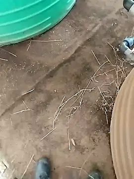 Snapshot of BigboyDick2 chatting on October 2025 12:38:01 PM BigboyDick2 online show from October 2025 12:38:01 PM