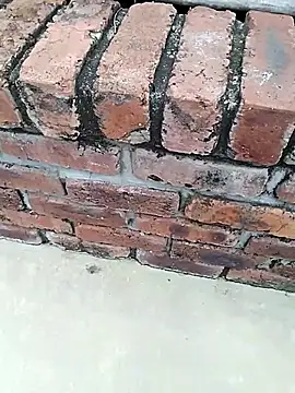 Snapshot of BigboyDick2 chatting on November 2025 09:08:02 AM BigboyDick2 online show from November 2025 09:08:02 AM