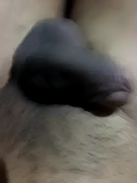 Snapshot of MH_12_11 chatting on September 2025 04:31:02 PM MH 12 11 online show from September 2025 04:31:02 PM