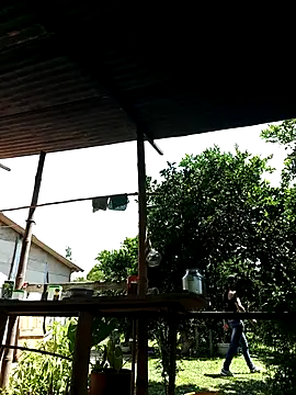 Snapshot of AlphaAlterX chatting on October 2025 06:04:01 PM AlphaAlterX online show from October 2025 06:04:01 PM