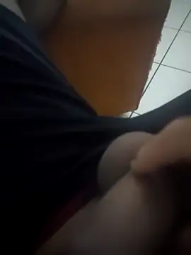 Novin23cms online show from December 2025 05:13:01 AM