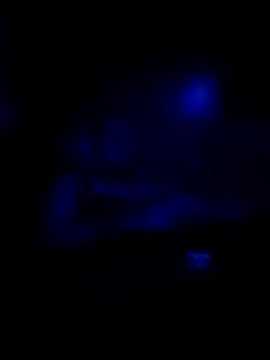 Snapshot of johnboones10 chatting on November 2025 08:31:01 AM johnboones10 online show from November 2025 08:31:01 AM