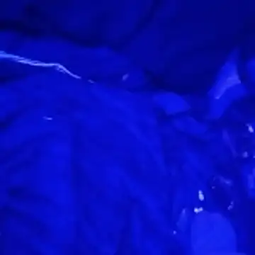 johnboones10 online show from March 2026 09:15:01 AM