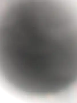 Necroforo online show from February 2026 08:49:02 PM