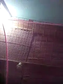 bappyandbanulove online show from October 2025 06:28:02 PM