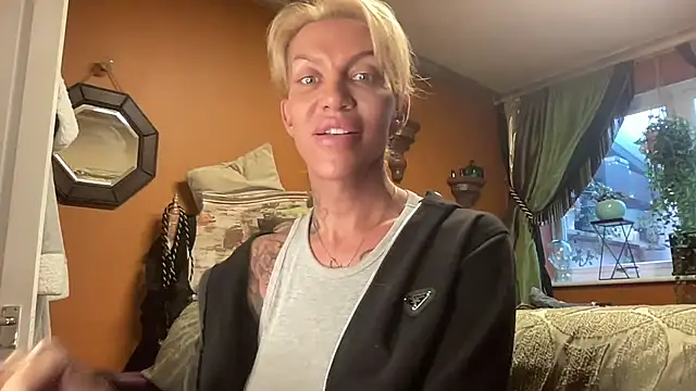 xl uk top trans online show from September 2025 08:14:02 AM